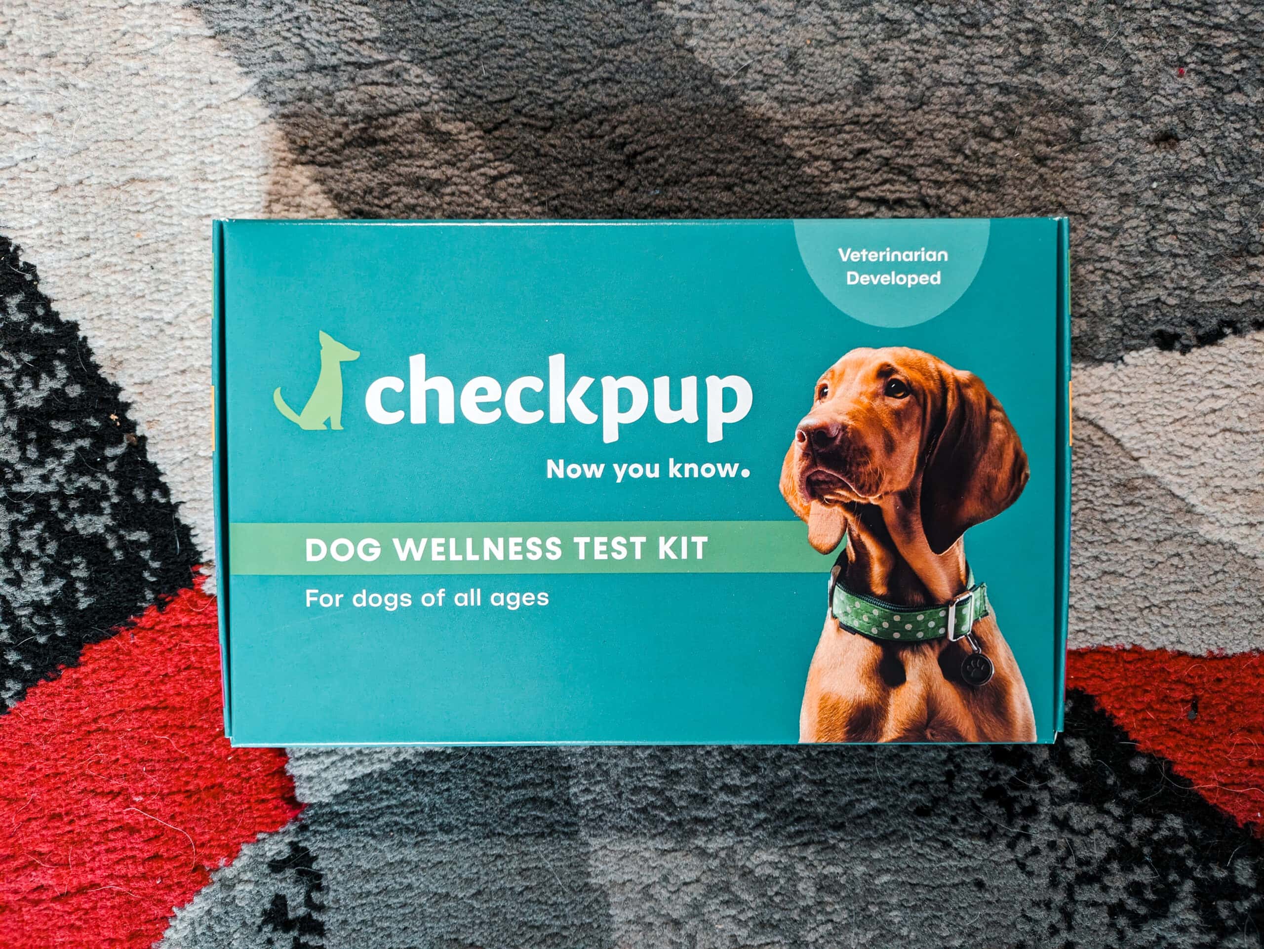 Checkpup_Dog Wellness Test