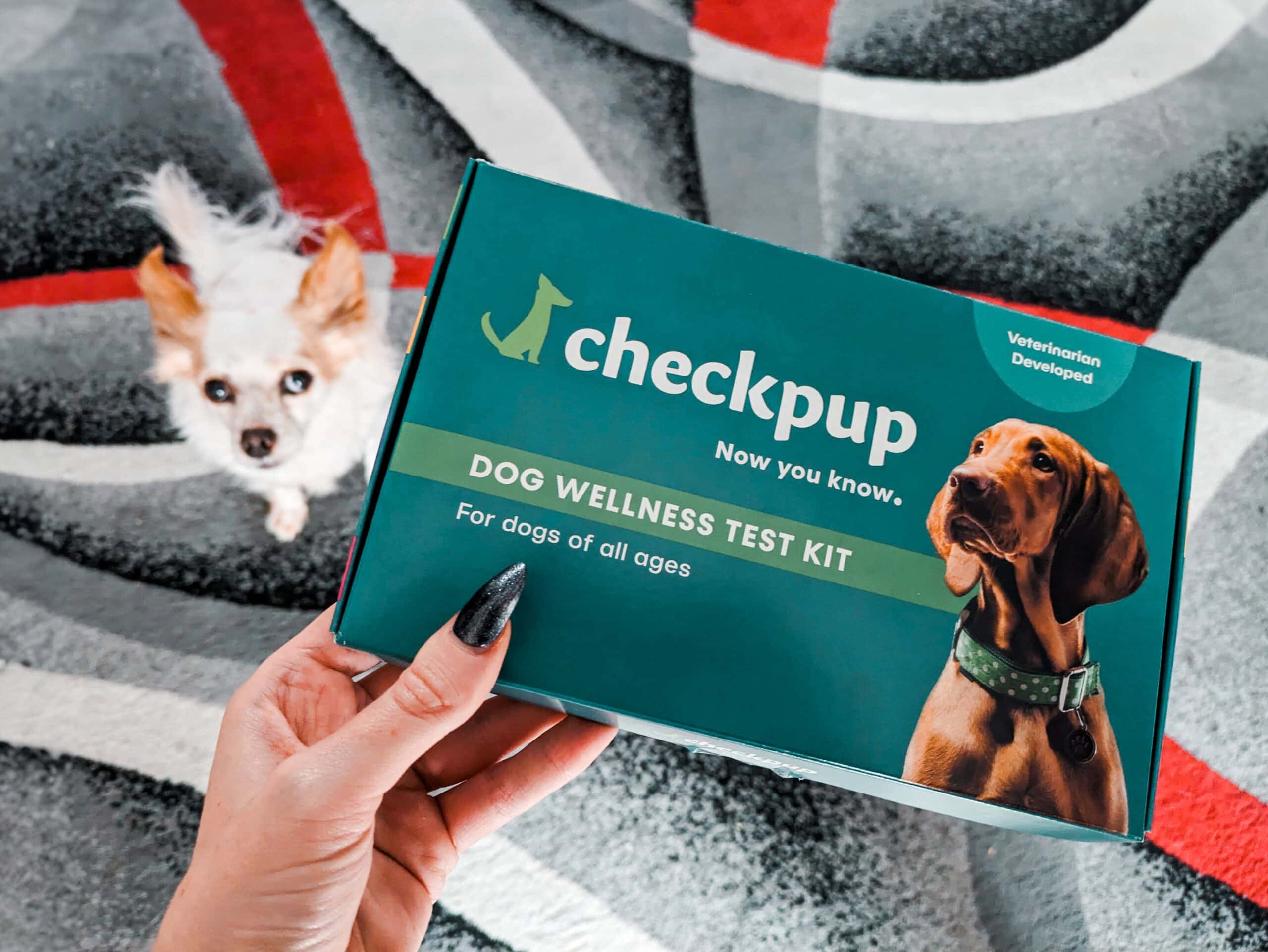Checkpup_Dog Wellness Test